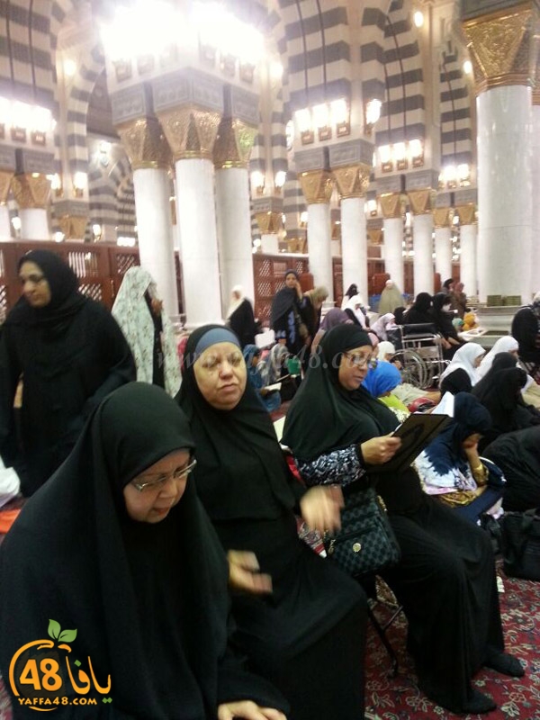 mo3tmreen yfasafa3 (29).JPG